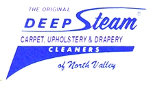 Deep Steam Cleaners